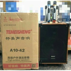 Loa kéo temeisheng a10-42 loa 3 tất võ gỗ dáng đẹp