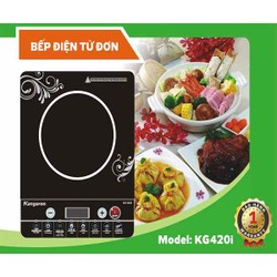 Bếp từ Kangaroo KG420