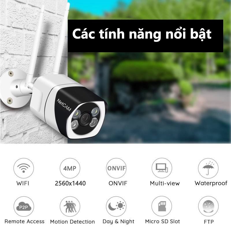 83XroP_simg_d0daf0_800x1200_max.jpg