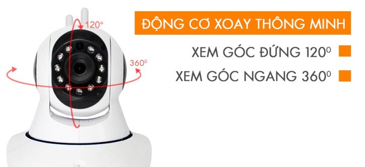 BbDAMG_simg_6ba7e3_725x332_max.jpg