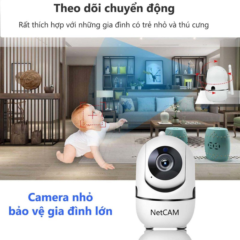 CVDIct_simg_d0daf0_800x1200_max.jpg
