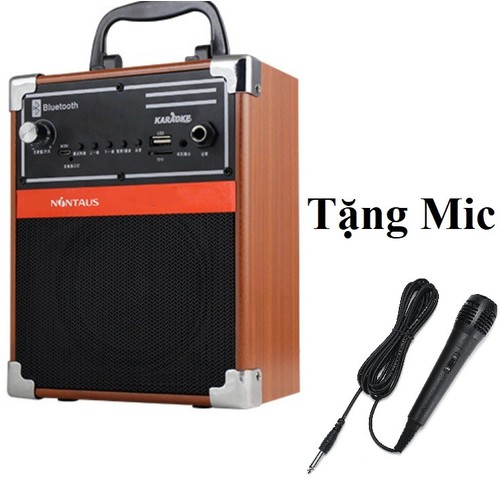 loa bluetooth karaoke