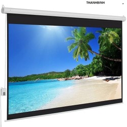 Màn chiếu Điện Dalite PW300ES 300Inch