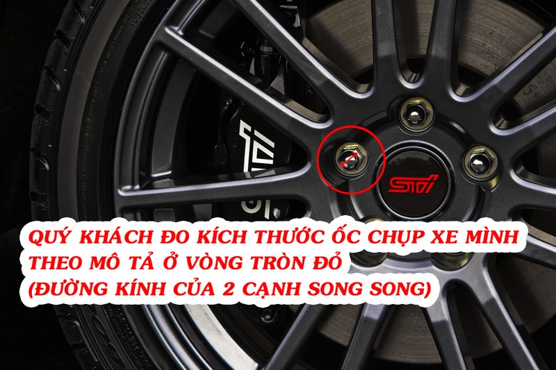 mcyuWY_simg_d0daf0_800x1200_max.jpg