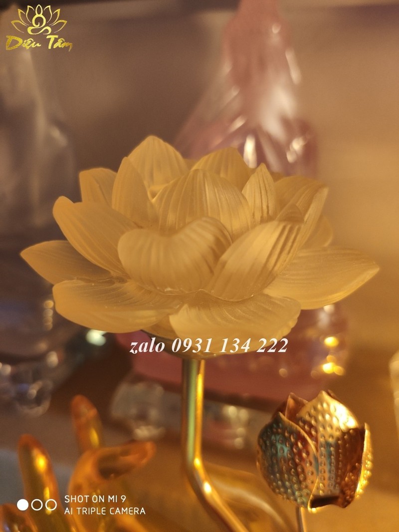NAPLPU_simg_d0daf0_800x1200_max.jpg