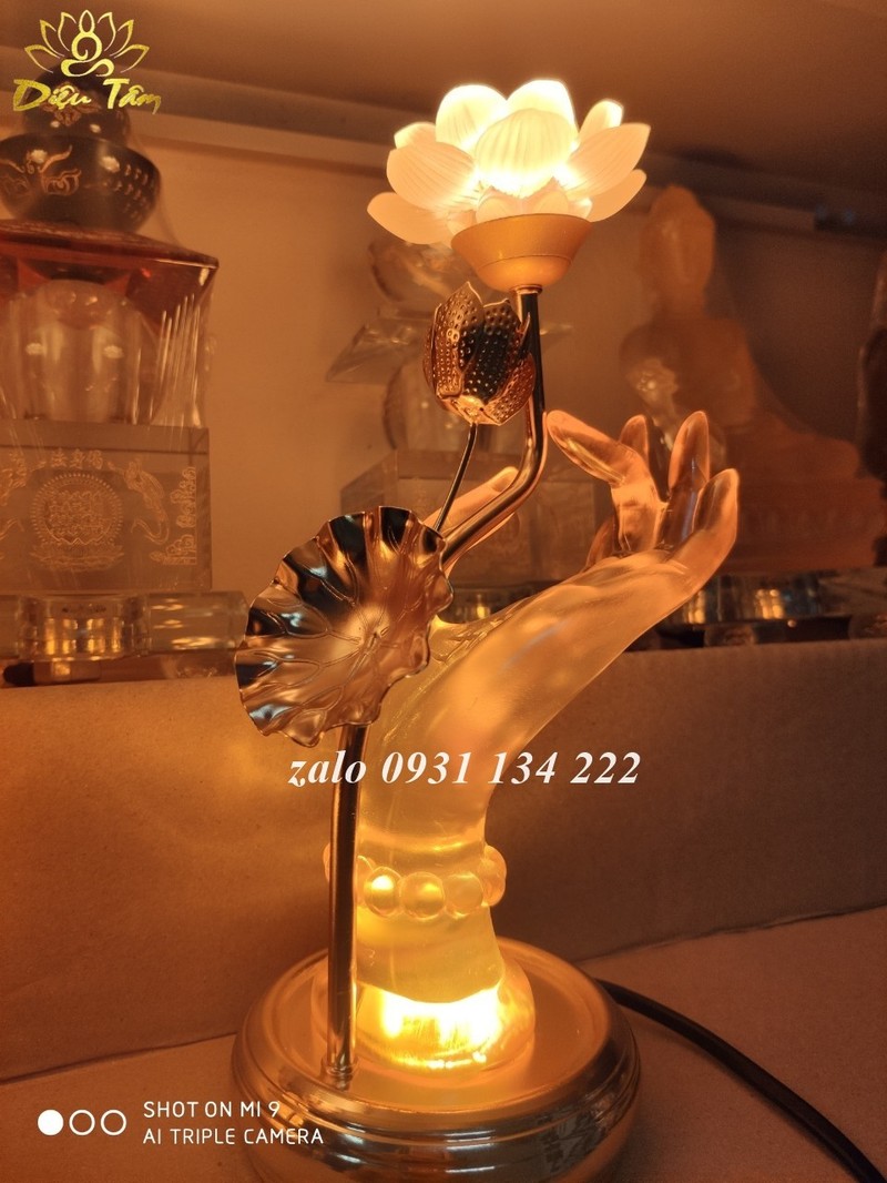 rCSopl_simg_d0daf0_800x1200_max.jpg
