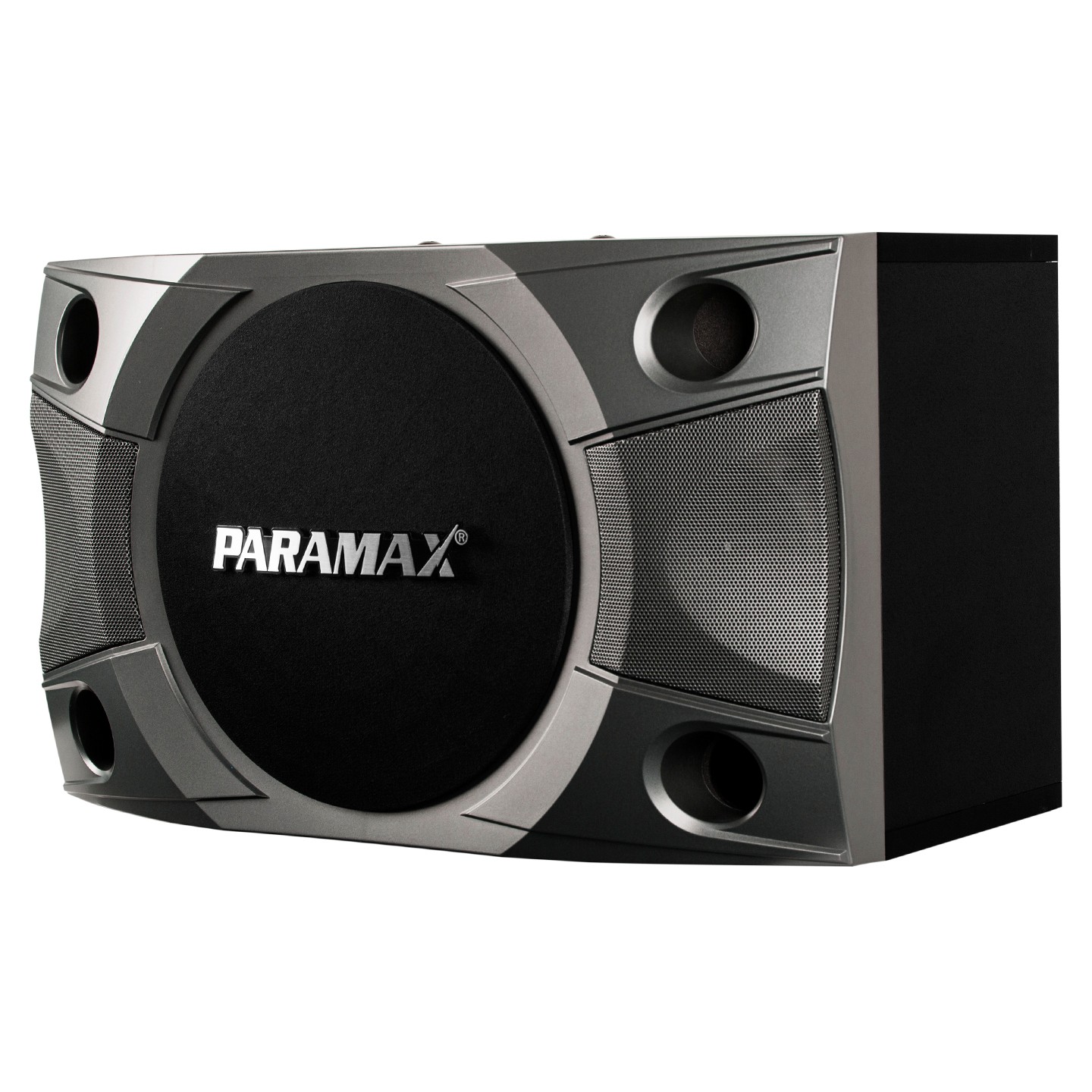 Loa Paramax P-900