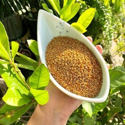 Phấn Hoa Rừng Nguyên Chất 100g