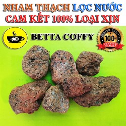 🌋 500Gr Đá Nham Thạch - San Hô 🌋 BETTA COFFY ☕️