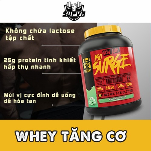 20784460 , 23802165 , 15_23802165 , 1580000 , Whey-protein-iso-surge-mutant-5lbs-sua-tang-co-toi-uu-cho-nguoi-tap-gym-chinh-hang-gia-tot-15_23802165 , sendo.vn , Whey protein iso surge mutant 5lbs - sữa tăng cơ tối ưu cho người tập gym chính hãng giá Whey protein iso surge mutant 5lbs - sữa tăng cơ tối ưu cho người tập gym chính hãng giá tốt