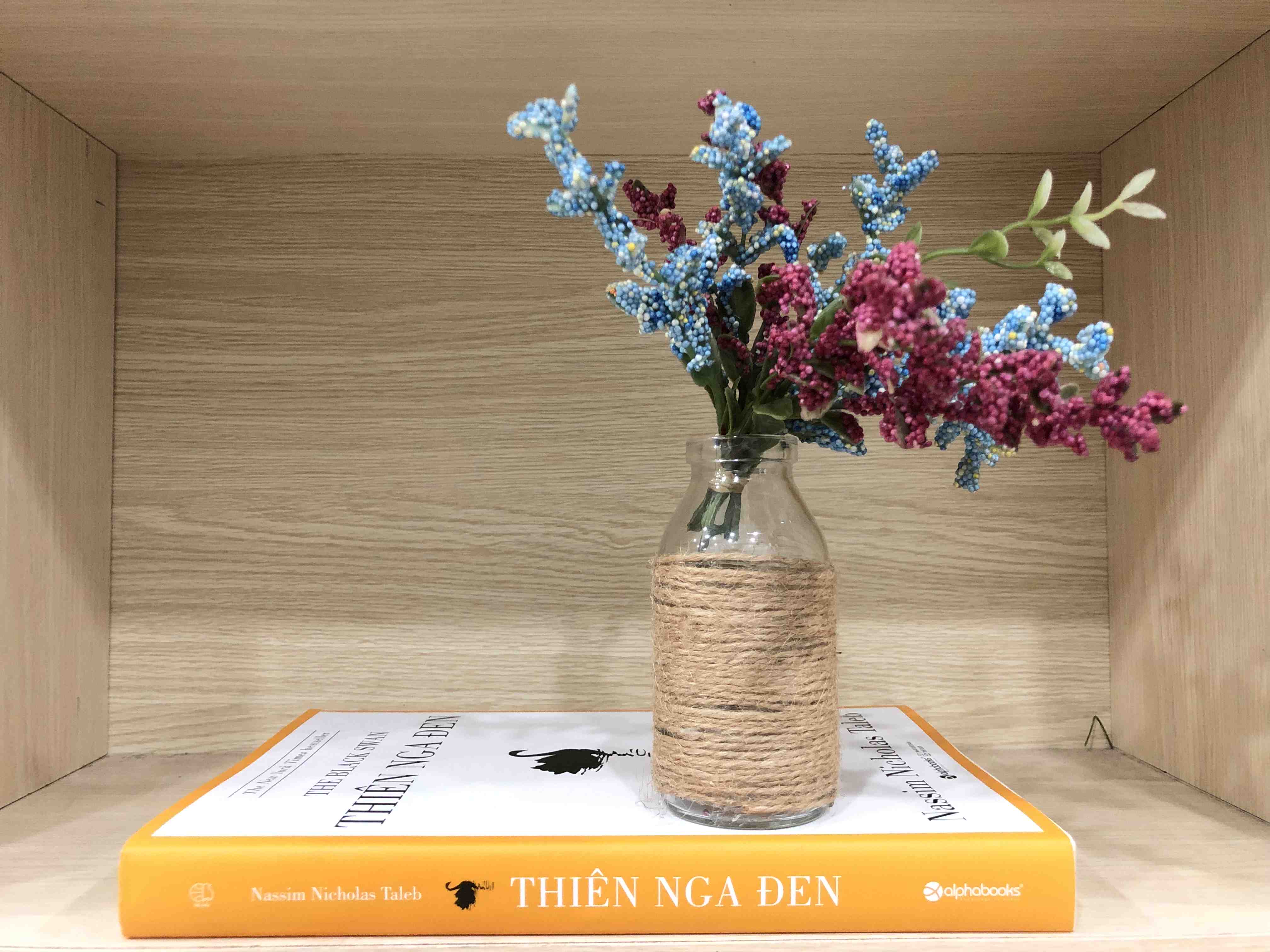 Thiên Nga Đen