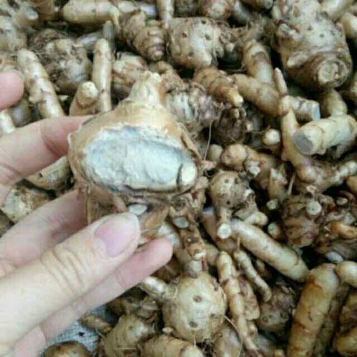 Nghệ đen khô Thái lát 1 kg