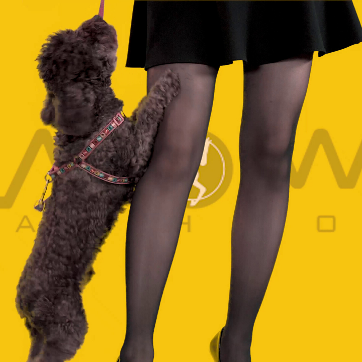 at3otj_simg_d0daf0_800x1200_max.png
