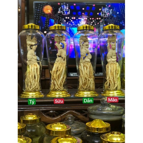 Đinh Lăng Điêu Khắc 12 Con Giáp. Bình 7L