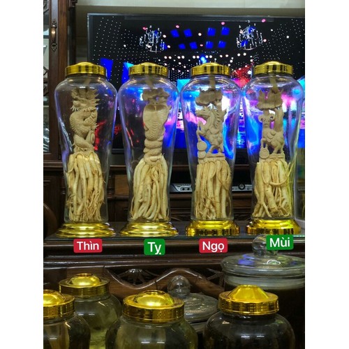 Đinh Lăng Điêu Khắc 12 Con Giáp. Bình 7L