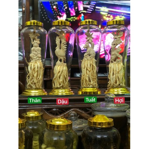 Đinh Lăng Điêu Khắc 12 Con Giáp. Bình 7L