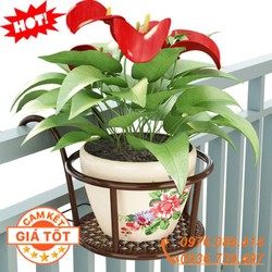 Giá sắt treo chậu hoa ban công