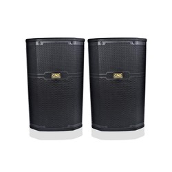 Loa CAVS CS 401E