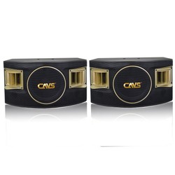 Loa Karaoke CAVS 530SE