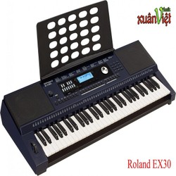 Đàn organ Roland E-X30