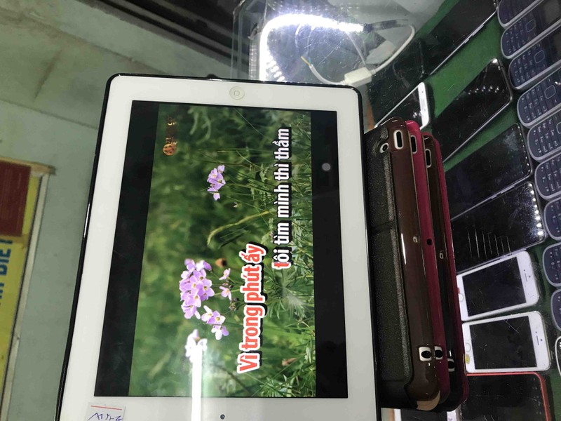 XANkx1_simg_d0daf0_800x1200_max.jpg