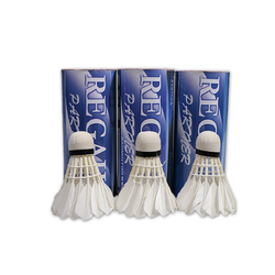 HỘP 3 QUẢ CẦU LÔNG REGAIL 603-3