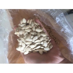 Hạt bí LOẠI 1 thành phần hạt bí tự nhiên cơ sản sản xuất bảo khang