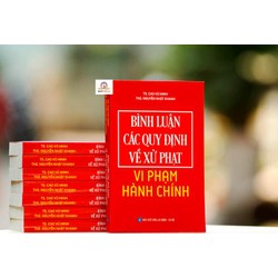 Bình Luận Các Quy Định Về Xử Phạt Vi Phạm Hành Chính