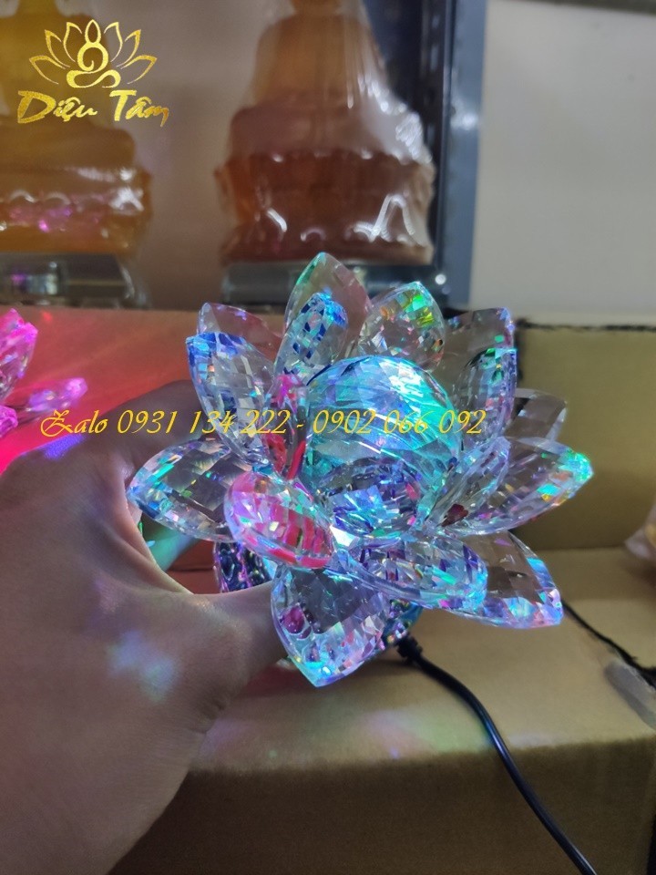 EGFtXv_simg_d0daf0_800x1200_max.jpg