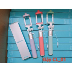 Gậy chụp hình