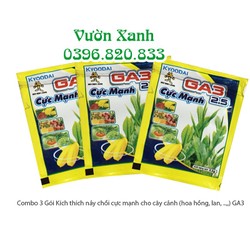 Combo 3 Gói Kích thích nảy chồi cực mạnh cho cây cảnh hoa hồng, lan, .. GA3