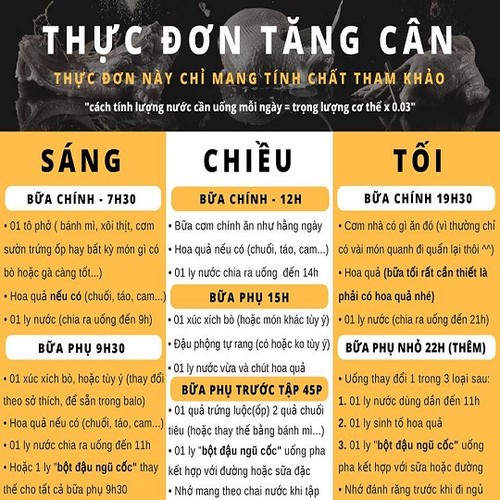 Ngũ Cốc Bột Đậu Tập Gym Hỗ Trợ Tăng Cân