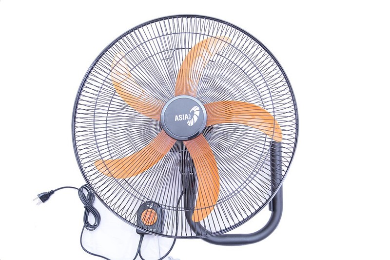 lLxZtI_simg_d0daf0_800x1200_max.jpg