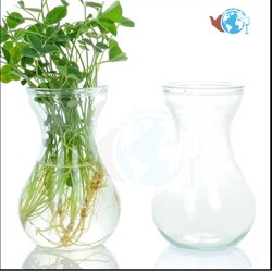 Bình bông lọ hoa thủy tinh miệng loe – Bình ông tiên – BBTTLOE