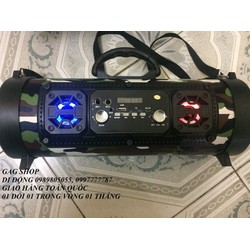 Loa SUNTEK CH-M17