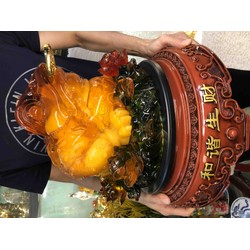 cóc to đại phong thuỷ