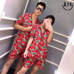 đồ bộ hoa quả trái cây đồ bộ hoa quả trái cây