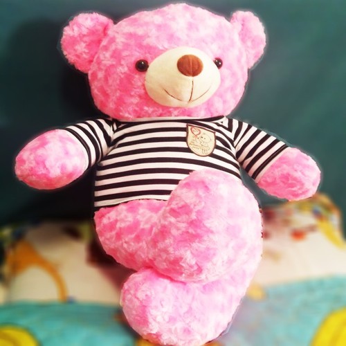 4868982 , 17388264 , 15_17388264 , 219000 , GAU-BONGTHU-BONG-TEDDY-80CM-15_17388264 , sendo.vn , GẤU BÔNG|THÚ BÔNG TEDDY 80CM GẤU BÔNG|THÚ BÔNG TEDDY 80CM
