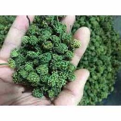 Nụ hoa tam thất y hình được xem hàng trước 200g