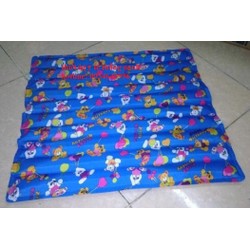 Đệm nước mát Thiên Thanh 75x90cm