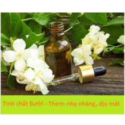 Tinh dầu thơm tự nhiên xông phòng hương Hoa Bưởi lọ 50ml