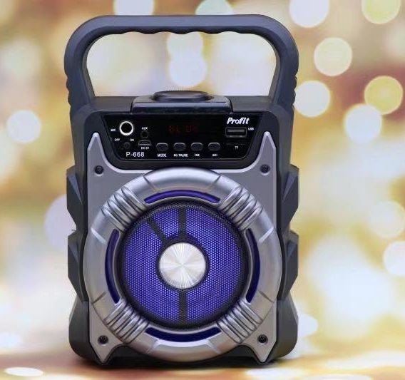 LOA BLUETOOTH P668/669 LOA BLUETOOTH P-668 TẶNG KÈM MIC HÁT 1