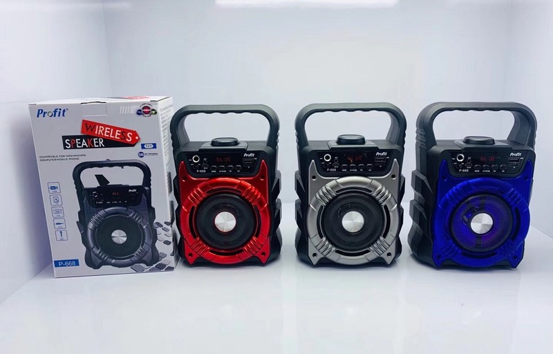 LOA BLUETOOTH P668/669 LOA BLUETOOTH P-668 TẶNG KÈM MIC HÁT 2