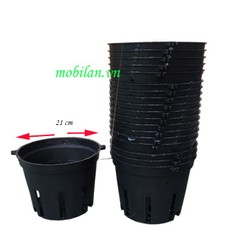 chậu trồng lan-chậu trồng lan phi 21cm COMBO 10 CHẬU