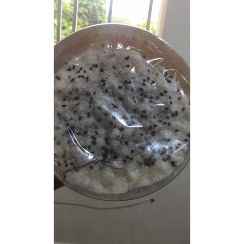 Đặc sản 10 bánh CU ĐƠ hà tĩnh loại ngon