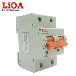 APTOMAT LIOA 2 CỰC 100A DÒNG CẮT 10KA