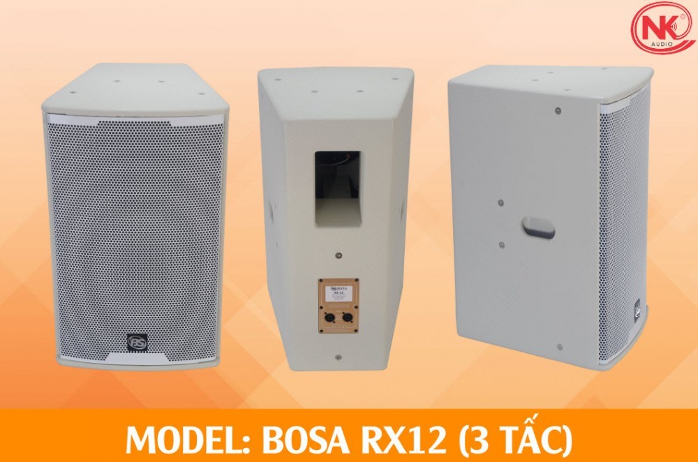 Loa thùng Bosa RX12