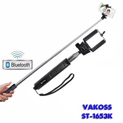 Gậy chụp hình bluetooth TS-1653