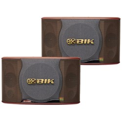 Loa BIK BJ S100 GL (BJ S100BK)