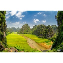 TOUR 1N NINH BÌNH - HOA LƯ - TAM CỐC - HANG MÚA